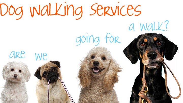 Paws and Claws Dog Walking and Pet Sitting Services